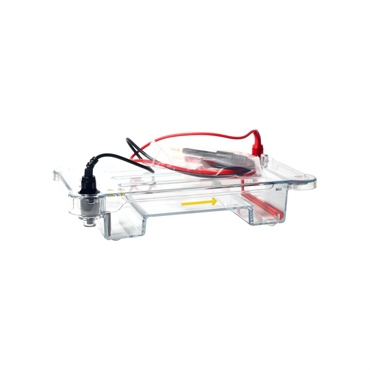 Medium Horizontal Electrophoresis Cell