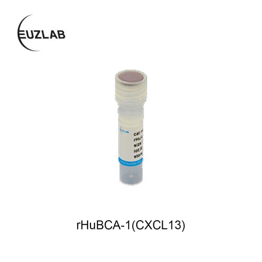 rHuBCA-1(CXCL13)