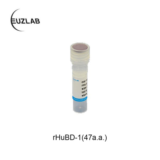 P1021 Recombinant Human BD-1 (47 a.a.)