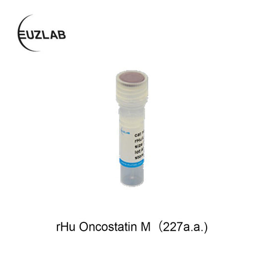 P2020 Recombinant Human Oncostatin M (227 a.a.)