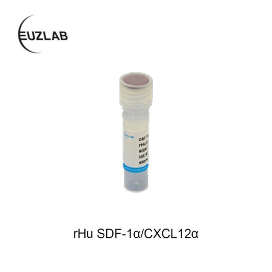 P2068 Recombinant Human SDF-1α (CXCL12)