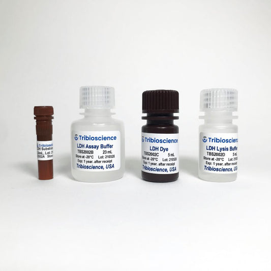 LDH Cytotoxicity Assay Kit