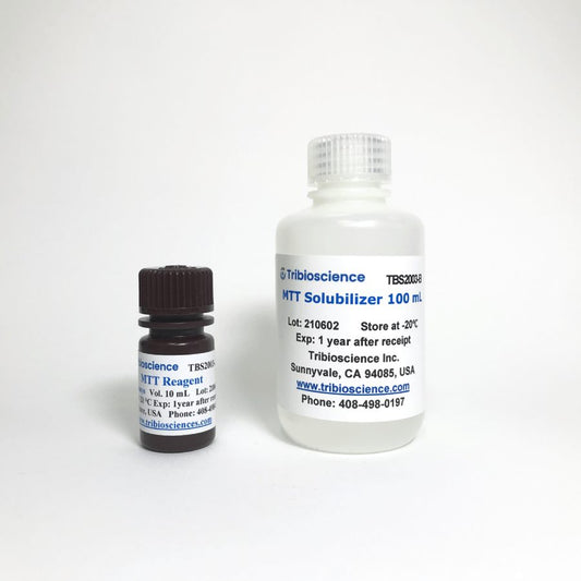 MTT Cell Viability Assay Kit