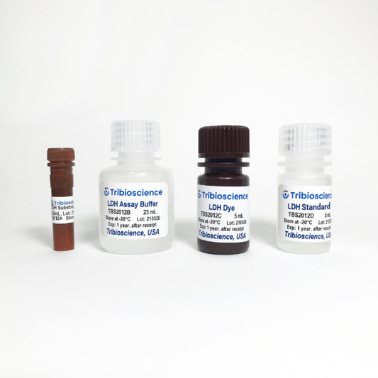 LDH Lactate Dehydrogenase Colorimetric Assay Kit