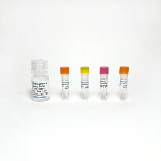 Mitochondrial Complex I Activity Colorimetric Assay Kit