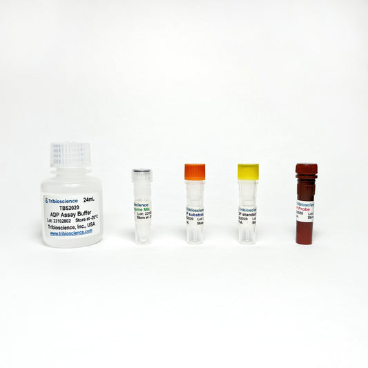 ADP Colorimetric/Fluorometric Assay Kit