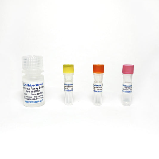 Pyruvate Colorimetric Assay Kit