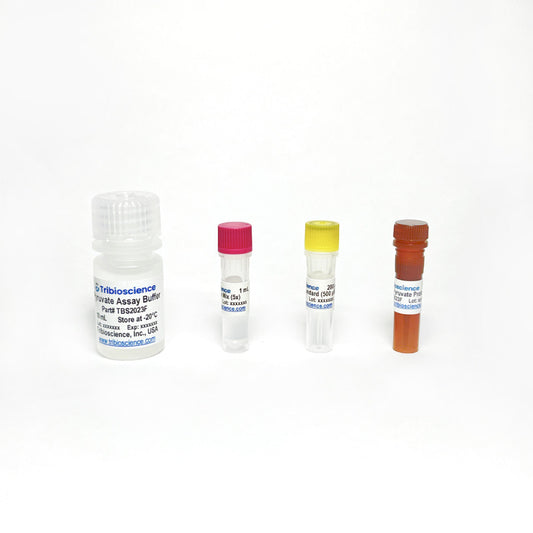 Pyruvate Fluorometric Assay Kit