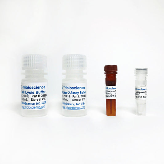 Caspase-2 Fluorometric Assay Kit