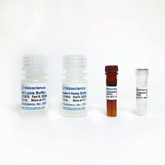 Caspase-6 Fluorometric Assay Kit 