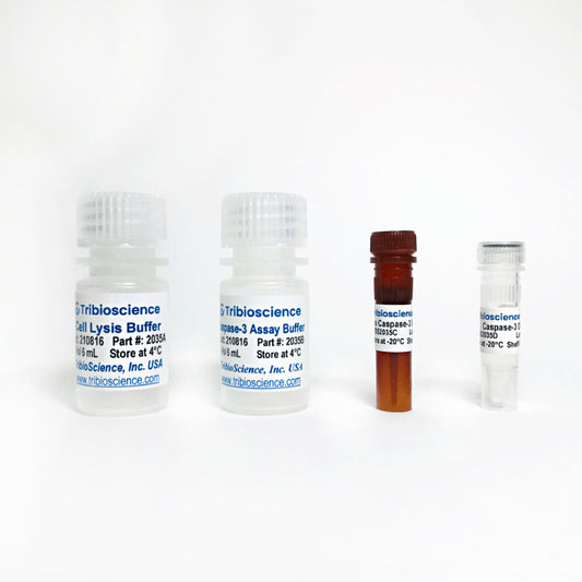 Caspase-3 Fluorometric Assay kit