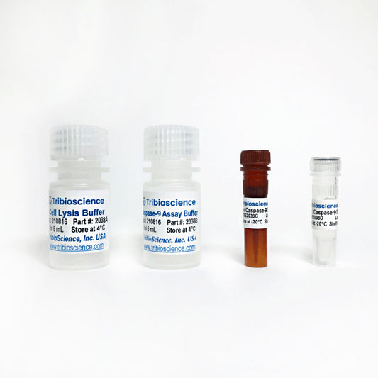 Caspase-9 Fluorometric Assay Kit