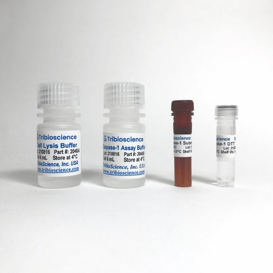 Caspase-1 Colorimetric Assay kit