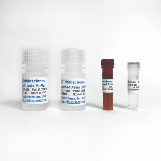 Caspase-1 Fluorometric Assay kit