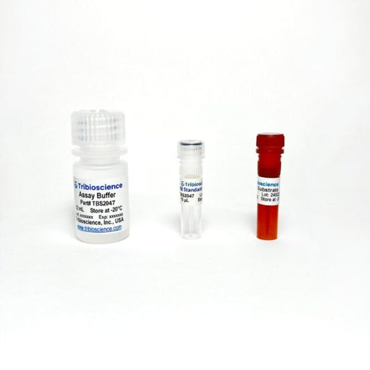 CD38 hydrolase Activity Fluorometric Assay Kit