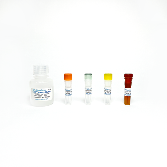 Adenosyl homocysteinase Fluorometric Assay Kit