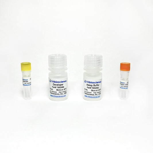 HDAC Fluorometric Assay Kit