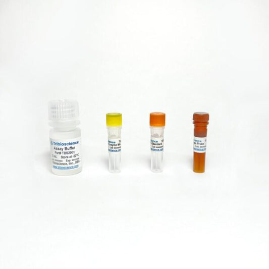 Lactic Lactate Fluorometric Assay Kit