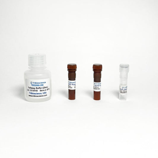 Hydrogen Peroxide Assay Kit