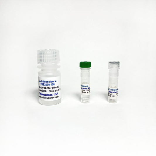 Tyrosine Colorimetric Assay Kit