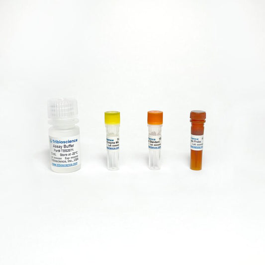 Lactate Colorimetric Assay Kit