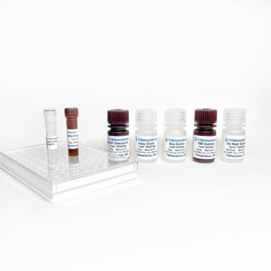 Cyclic GMP Activity Assay Kit (Colorimetric)