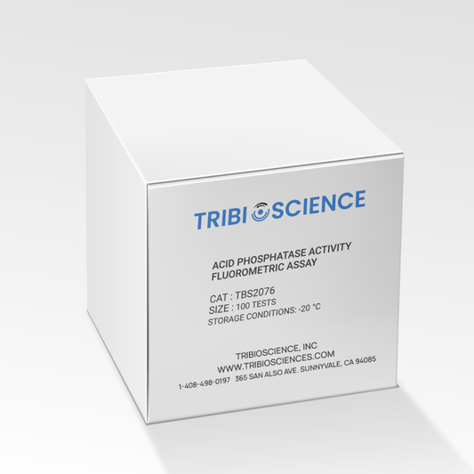 Acid Phosphatase Activity Fluorometric Assay Kit