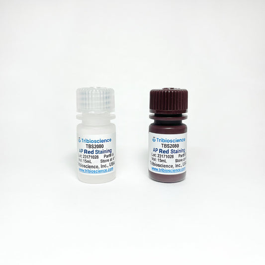 Alkaline Phosphatase Red Staining kit