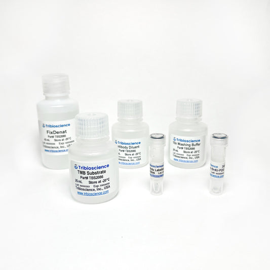 BrdU Cell Proliferation Colorimetric Assay Kit