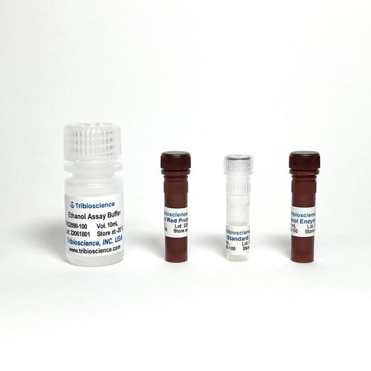 Ethanol Assay kit (Colorimetric/Fluorometric)